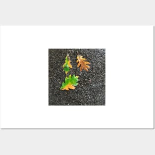 Rainy Leaves on Black Terrazzo Background Posters and Art